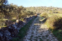 02-1