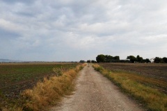 02_incrocio-col-torrente-Salsola