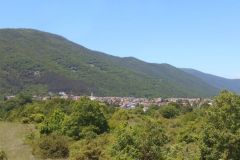DSCN1847