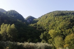 IMG_20210919_091104