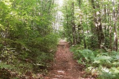 IMG_20210919_094502