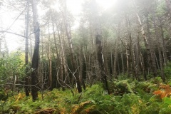 IMG_20210919_094805