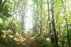 IMG_20210919_095532