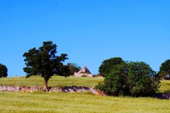 P1150414