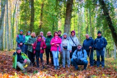 gruppo