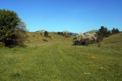 DSCN1887