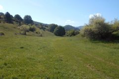 DSCN1888