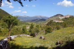 DSCN1889