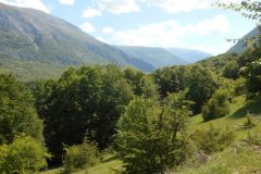 DSCN1892