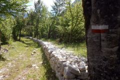 DSCN1895
