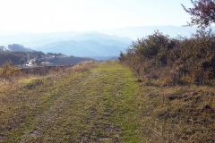 06_serra-Donatello