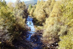 10_torrente-Tappino-1