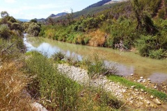 12_torrente-Tappino