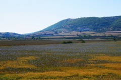 06_piana-santEgidio