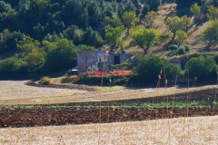 07_piana-santEgidio