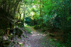 10_valle-della-Fratta