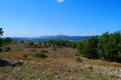 17_località-Orefice
