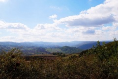 08_bosco-s.-Antonio