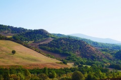 tratturo-Lucera-Castel-di-Sangro-1