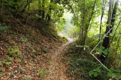 DSCN0108