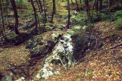 DSCN0111