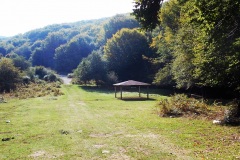 DSCN0113