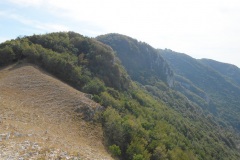 DSCN0118