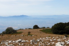 DSCN0121