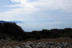 DSCN0122