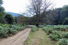 DSCN0127