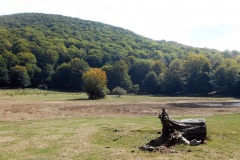 DSCN0131