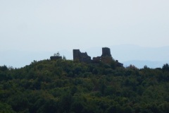 DSCN0132