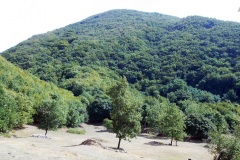 DSCN0133