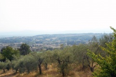 DSCN0134