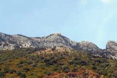 DSCN0135