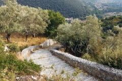 DSCN0136