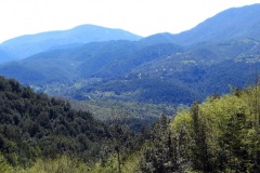 DSCN1632