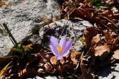 P1080616