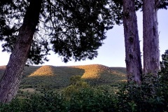 01_panorama-su-bosco-Jancuglia