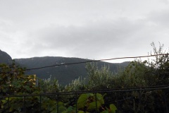 DSCN0166