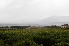 DSCN0170