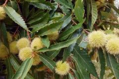 DSCN0180