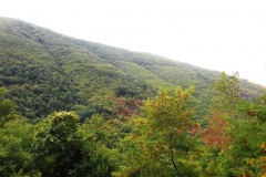 DSCN0181