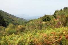 DSCN0182