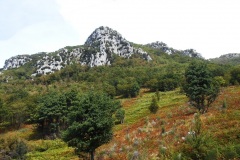 DSCN0183