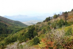 DSCN0184