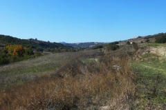 06_Ripitella