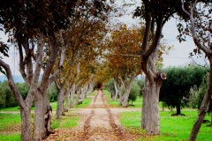 11_località-Stinco-Casa-Bruno