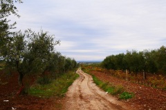 13_località-Quadroni-di-san-Giovanni