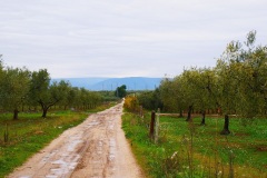 16_-località-Pozzo-delle-capre